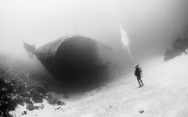 hilmahooker_diver-wreck-bonaire__x.jpg.webp
