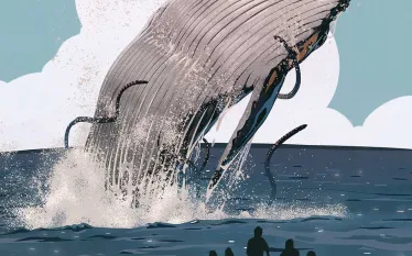 humpback-whale.jpg.webp