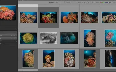 imaging-teaser.jpg.webp