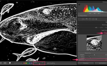 imaging_detail_oriented_erin_quigley_scu.jpg.webp