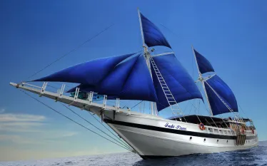 indo-siren-low.jpg.webp
