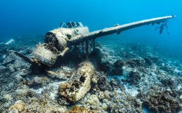 jake-seaplane-palau-credit-alex-mustard.jpg.webp