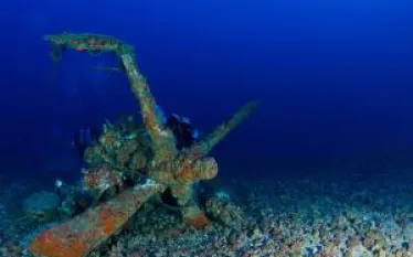 jupiterdivesite.jpg.webp