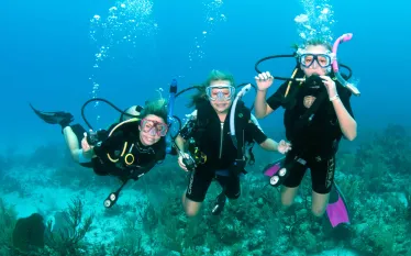 kiddivers.jpg.webp