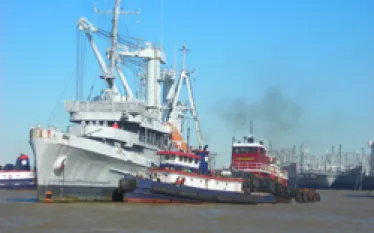 kittiwake_leaving_the_fleet.jpg.webp