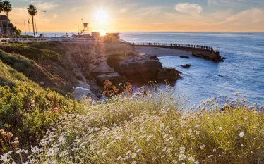 la-jolla-shutterstock-kan_khampanya.jpg.webp