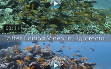 lightroom_video_editing_ba_videosplitscreen_.jpg.webp