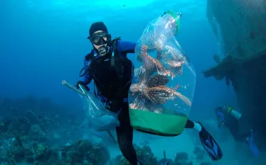 lionfish-derby-florida.jpg.webp