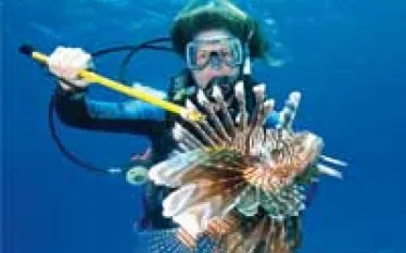 lionfish_thumb.jpg.webp
