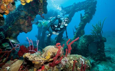 liveaboard_cuan_law_diver_scd.jpg.webp