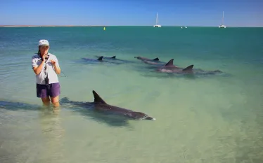 marine-biologist-dolphins-topside-australia-shutterstock-rizd.jpg.webp