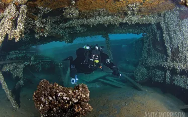 michigan_drive_and_dive__.jpg.webp