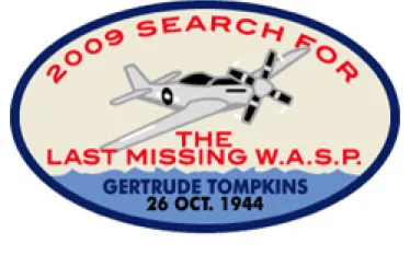 missing-wasp.jpg.webp