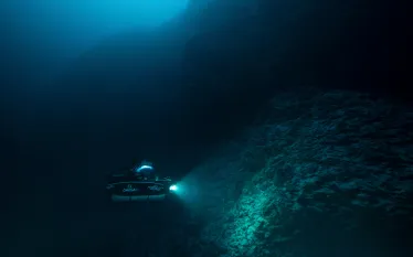 nekton-submersible-credit-courtesy-nekton-maldives-mission.png.webp