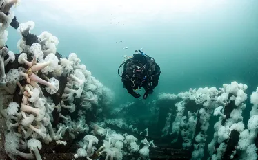 neutral-bouyancy-and-photography-diver-annie-crawley-.jpg.webp