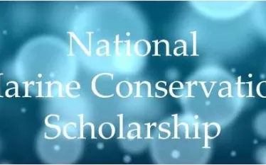 nmcs_logo_.jpg.webp