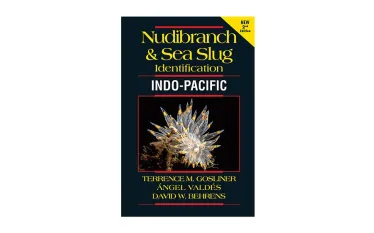 nudibranch-book.jpg.webp