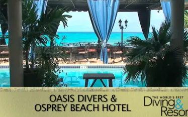 oasis_divers.jpg.webp