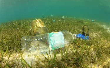 ocean-conservancy-study_plastic-.jpg.webp