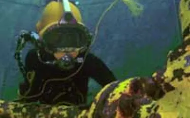 ocean-corp-cde-thumb.jpg.webp