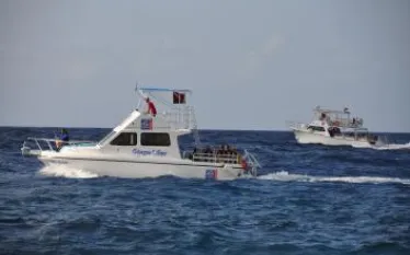 ocean_encounters_boat.jpg.webp