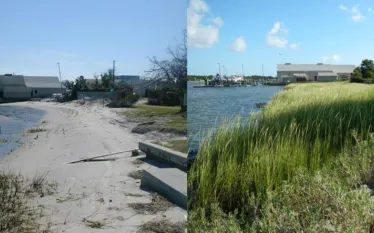 oceana_blog_coastline_restoration_.jpg.webp