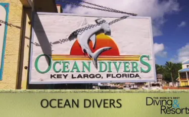 oceandivers_wbdr-thumb.jpg.webp
