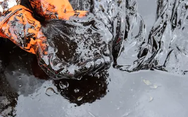 oil-spill-shutterstock-signature-message.jpg.webp