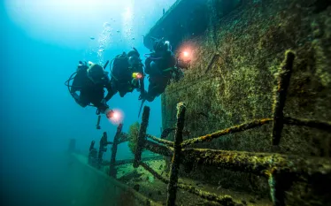 padi_lapaz_underwater_oct___edit.jpg.webp