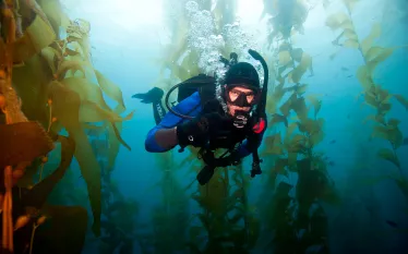 peak-performance-buoyancy-padi-.jpg.webp