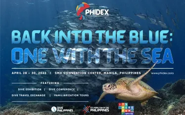 phidex_custom_article_x_image.png.webp