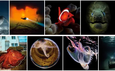 photo-contest-hero.jpg.webp