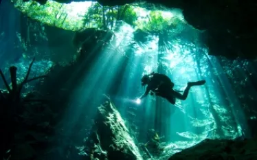 pro-dive-mexico--_.jpg.webp