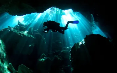 pro_dive_international_rca_digital_article_images_x.png.webp