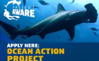project-aware-ocean-action_thumb.jpg.webp