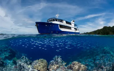 raja-ampat-aggressor-reef--hi-res.jpg.webp