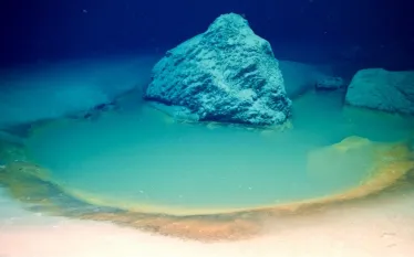 rare-deep-sea-brine-pool-university-of-miami.jpeg.webp
