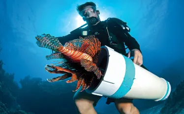 reef-lionfish-derby.jpg.webp