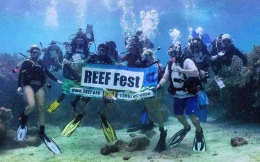 reeffest.jpg.webp