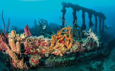 rms-rhone-tanya-burnett.jpg.webp