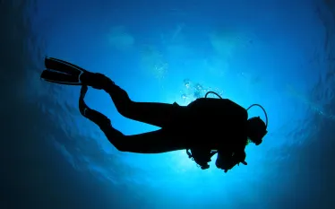rs_shutterstock_.jpg.webp