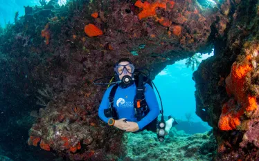 samantha-whitcraft-underwater-may-sea-hero.jpg.webp