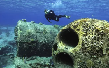 san-salvador-diving.jpg.webp