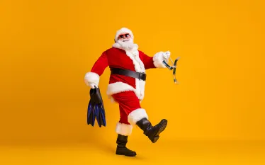 santa-holding-snorkel-flippers-shutterstock-roman-samborskyi.jpg.webp