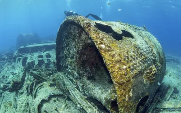 scd_top__wreck_.jpg.webp