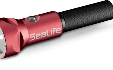 scd_gg_accessories_lights_sealife_gtsl-sea-dragon-s.png.webp