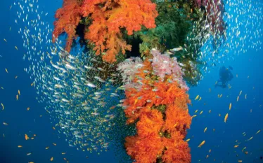scd_secretspot_-.jpg.webp