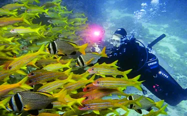 scd_talk_mary_frances-.jpg.webp