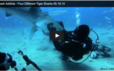 screen_shot_--_at_.._am.png.webp