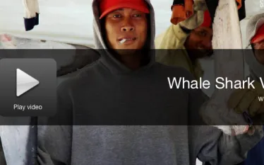 screen_shot_--_at_.._pm.png.webp